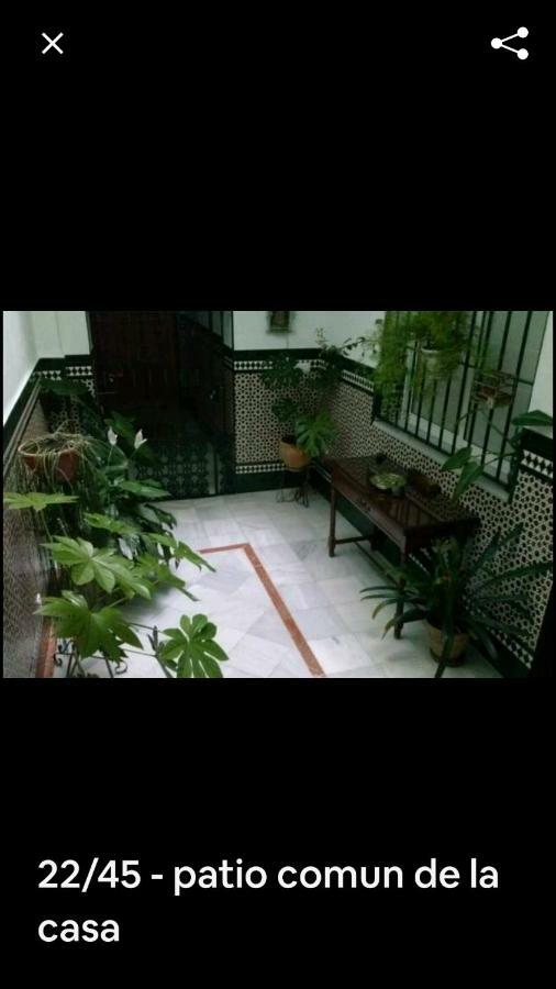 Oasi Macarena Appartement Sevilla