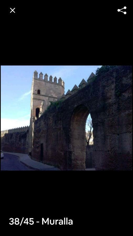 Oasi Macarena * Sevilla